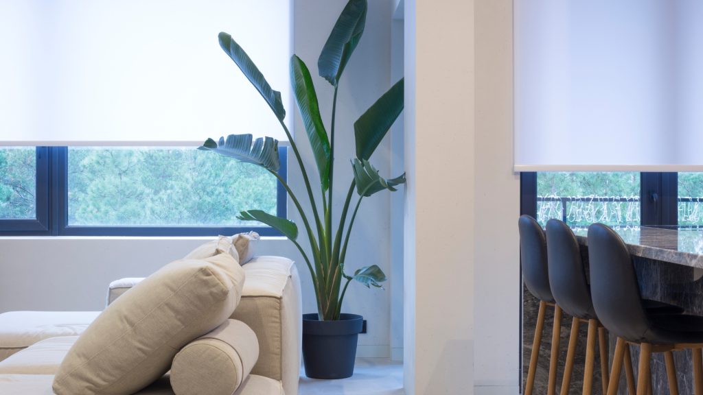 roller blinds gauteng